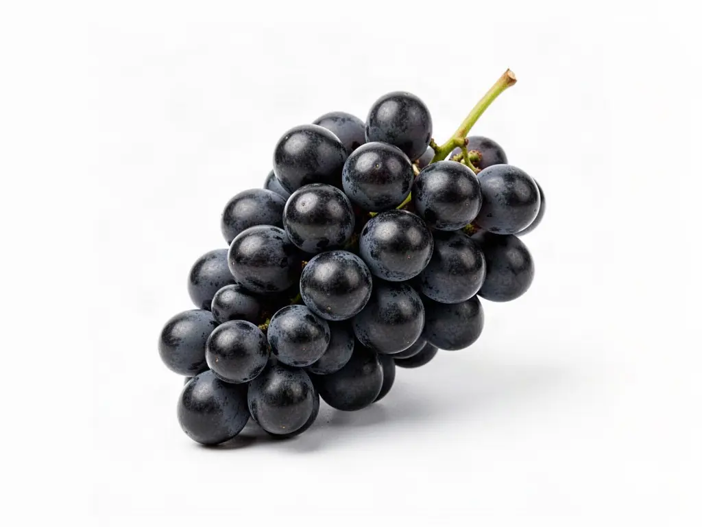 raisin noir