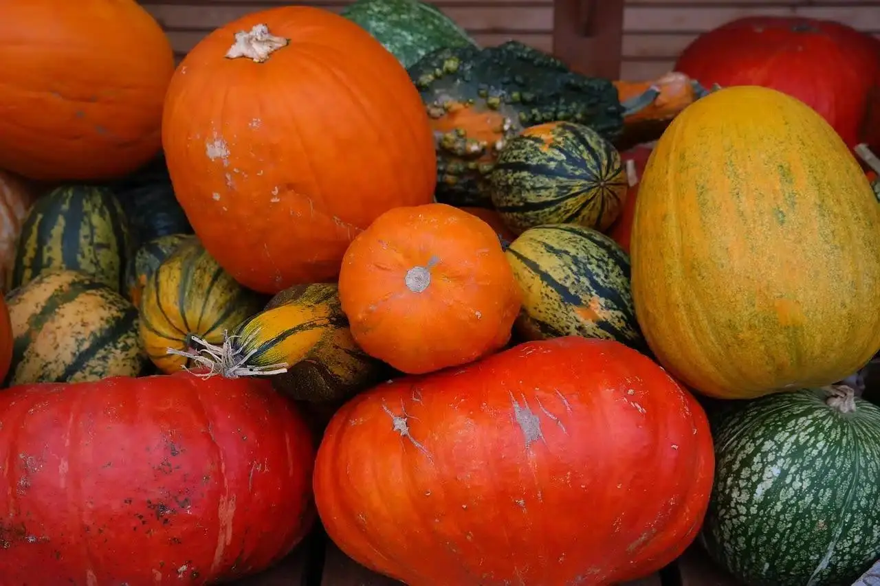 Guide complet des courges : variétés, astuces pour un épluchage rapide, cuisson et recettes